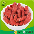 100% natural fresh goji berries factory supply goji berry